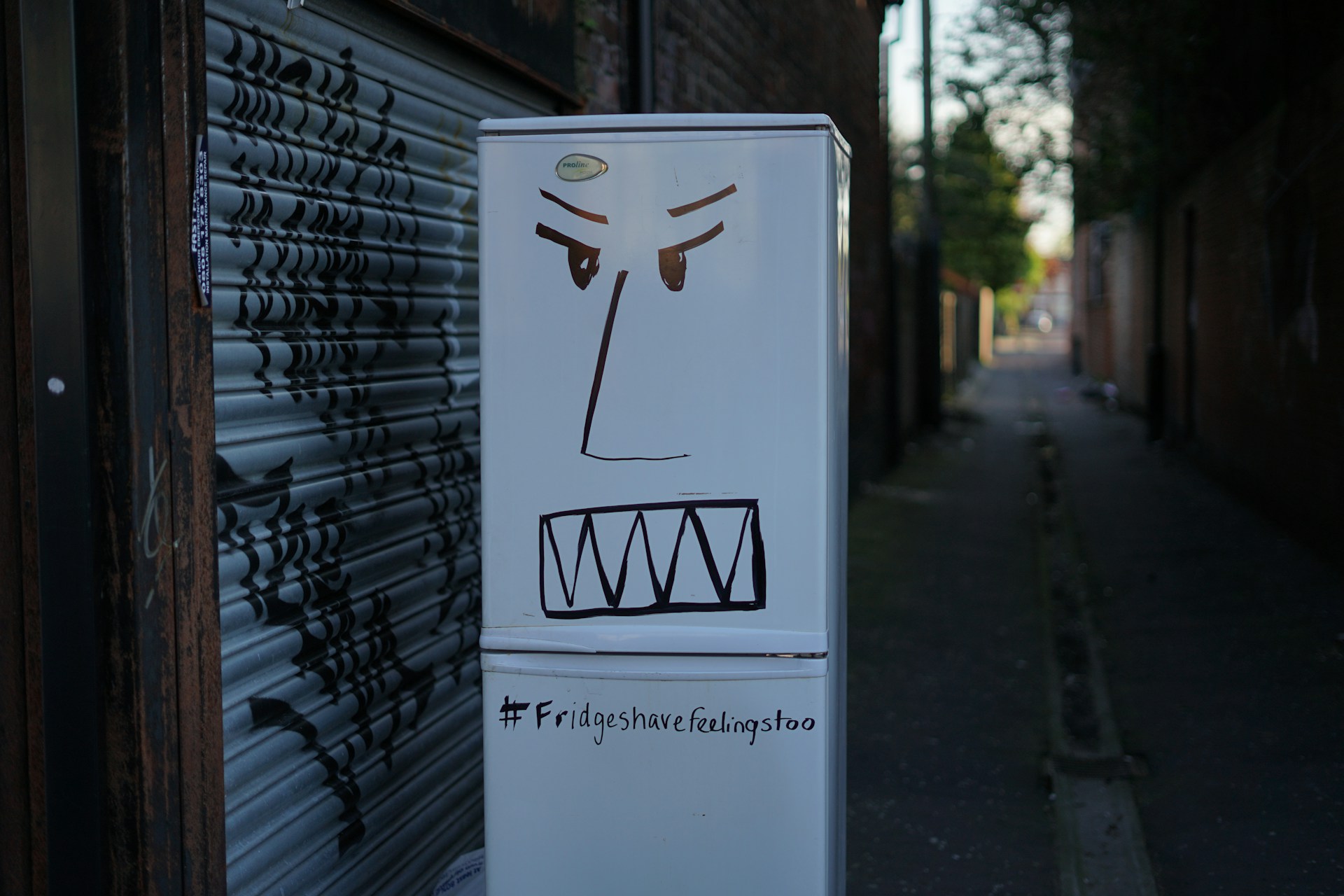Ausrangierter Kühlschrank auf den eine Grimasse gemalt wurde