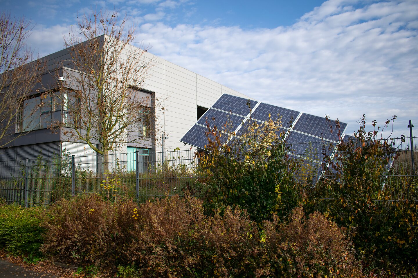 Bild einer Solaranlage im Dorf Feldheim.