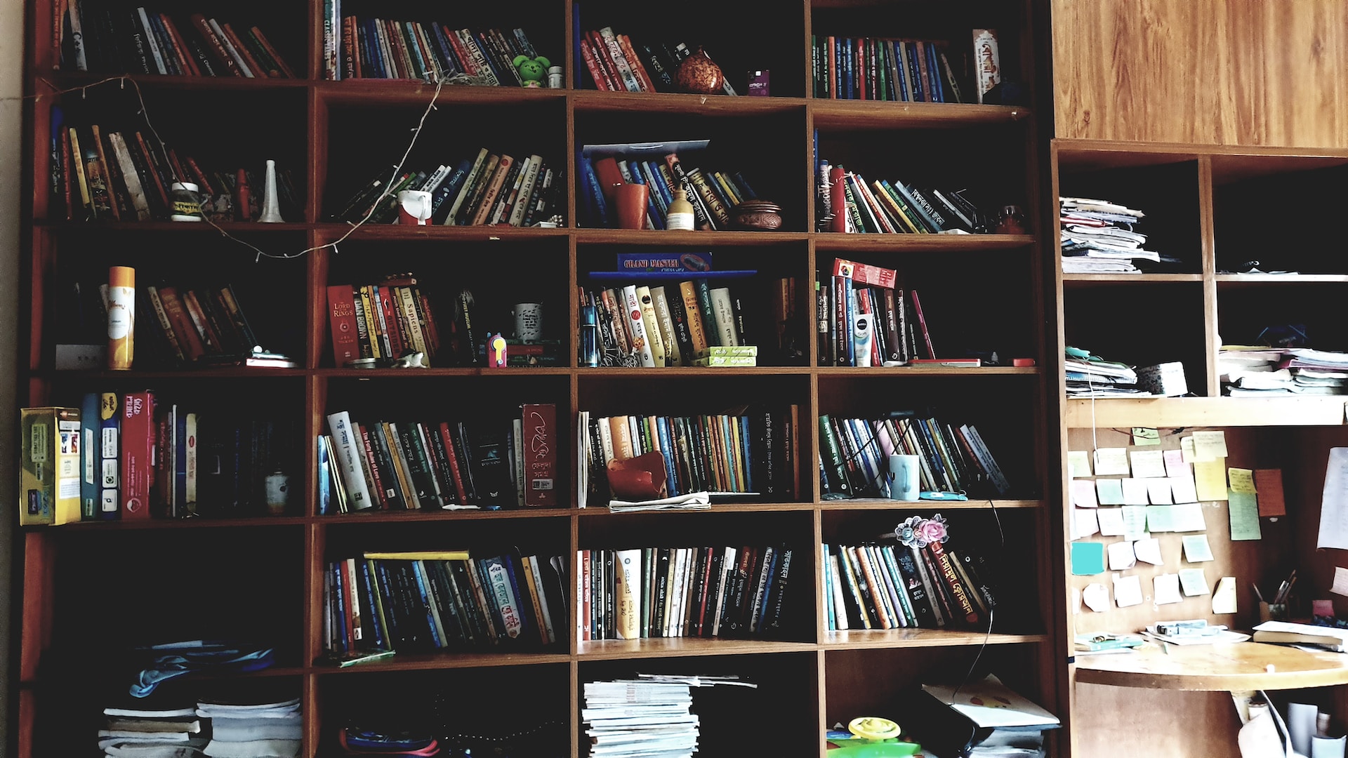 Ein volles Bücherregal