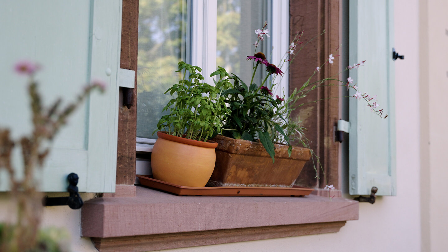 Blumenkästen verschönern den Fenstersims