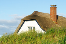 Haus mit Reet-Dach hinter Deich